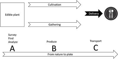 The Value of Native Plants and Local Production in an Era of Global Agriculture